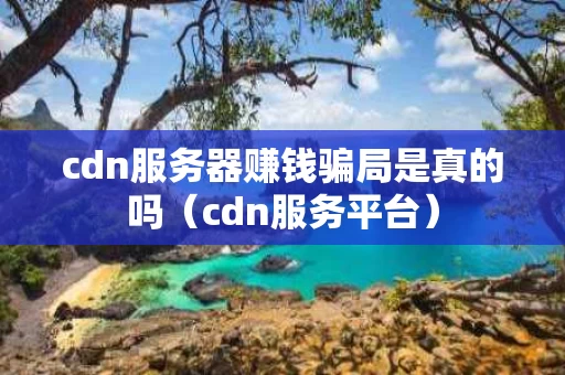 cdn服务器赚钱骗局是真的吗（cdn服务平台）