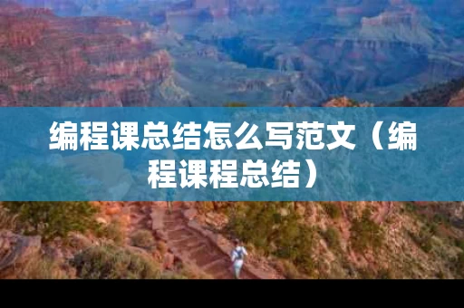 编程课总结怎么写范文（编程课程总结）