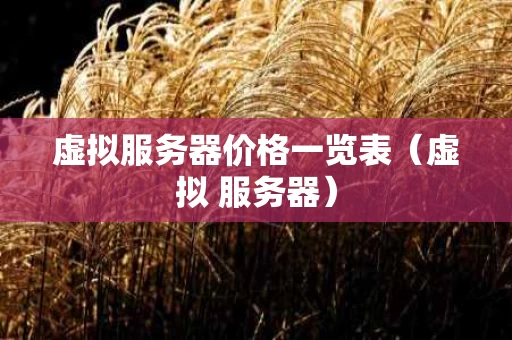 虚拟服务器价格一览表（虚拟 服务器）
