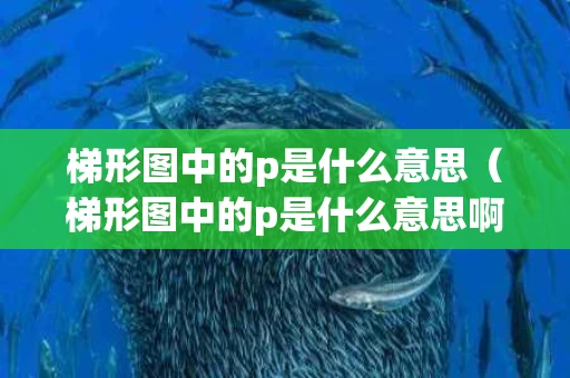 梯形图中的p是什么意思（梯形图中的p是什么意思啊）