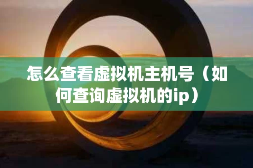 怎么查看虚拟机主机号（如何查询虚拟机的ip）