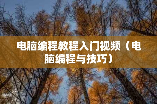电脑编程教程入门视频（电脑编程与技巧）
