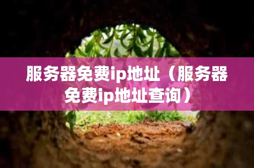 服务器免费ip地址（服务器免费ip地址查询）