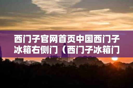 西门子官网首页中国西门子冰箱右侧门（西门子冰箱门百科）