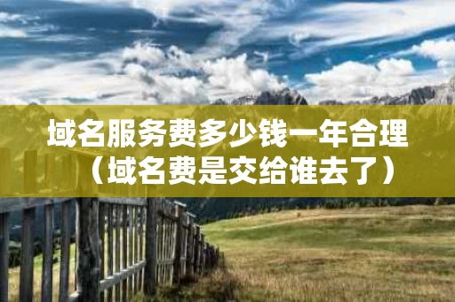 域名服务费多少钱一年合理（域名费是交给谁去了）