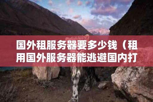 国外租服务器要多少钱（租用国外服务器能逃避国内打击吗）