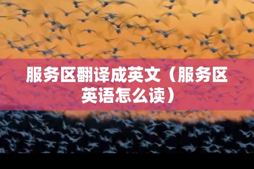 服务区翻译成英文（服务区英语怎么读）