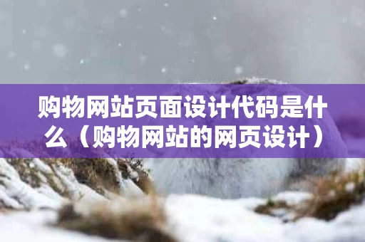 购物网站页面设计代码是什么（购物网站的网页设计）