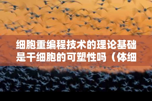 细胞重编程技术的理论基础是干细胞的可塑性吗（体细胞重编程技术属于干细胞与再生医学关键技术吗）