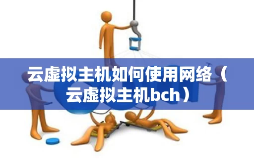 云虚拟主机如何使用网络（云虚拟主机bch）