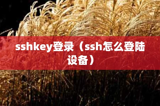 sshkey登录（ssh怎么登陆设备）