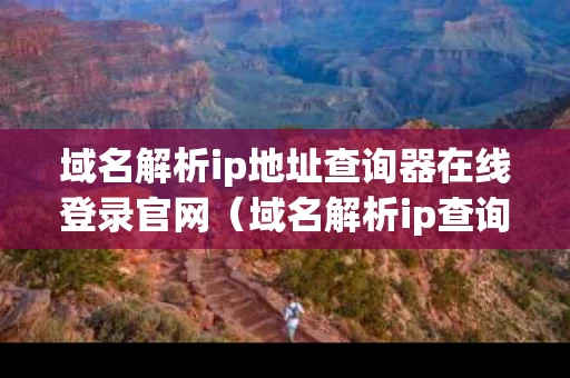 域名解析ip地址查询器在线登录官网（域名解析ip查询查询网）