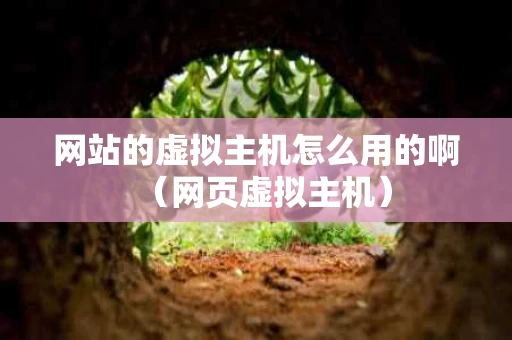 网站的虚拟主机怎么用的啊（网页虚拟主机）