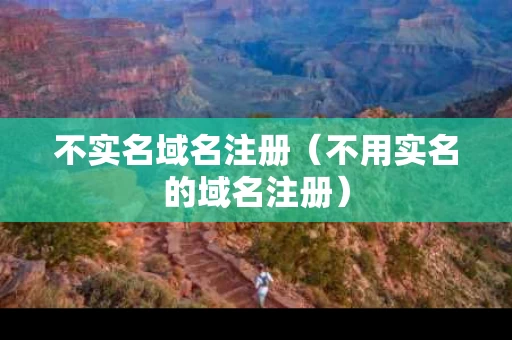 不实名域名注册（不用实名的域名注册）