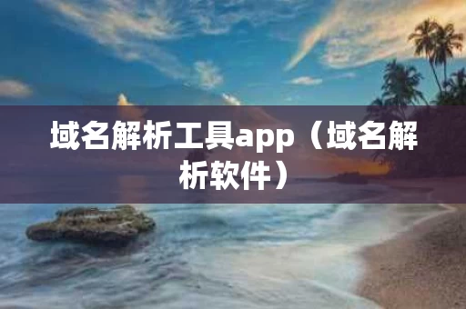域名解析工具app（域名解析软件）