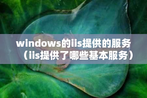 windows的iis提供的服务（iis提供了哪些基本服务）