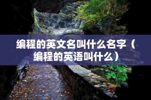 编程的英文名叫什么名字（编程的英语叫什么）
