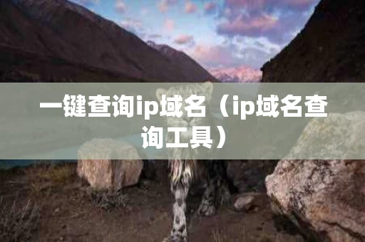 一键查询ip域名（ip域名查询工具）