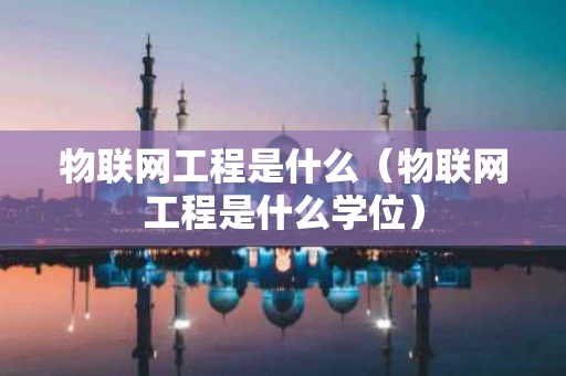 物联网工程是什么（物联网工程是什么学位）