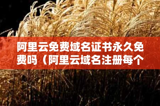 阿里云免费域名证书永久免费吗（阿里云域名注册每个月多少钱）