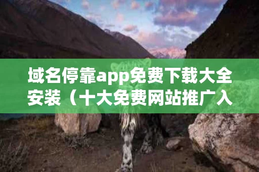 域名停靠app免费下载大全安装（十大免费网站推广入口）