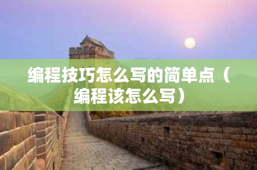 编程技巧怎么写的简单点（编程该怎么写）