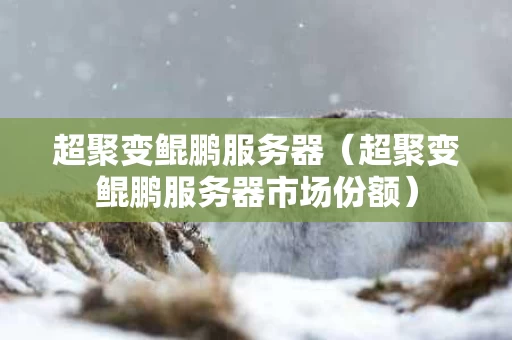 超聚变鲲鹏服务器（超聚变鲲鹏服务器市场份额）