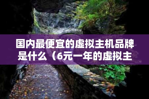 国内最便宜的虚拟主机品牌是什么（6元一年的虚拟主机）