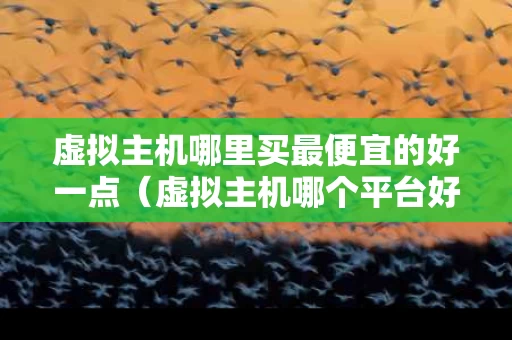 虚拟主机哪里买最便宜的好一点（虚拟主机哪个平台好）