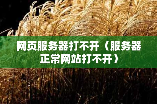 网页服务器打不开（服务器正常网站打不开）