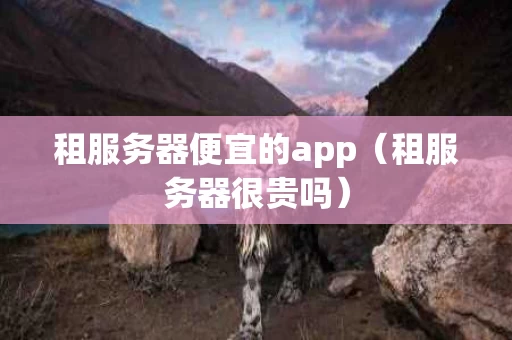 租服务器便宜的app（租服务器很贵吗）
