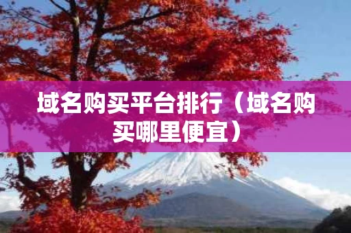 域名购买平台排行（域名购买哪里便宜）