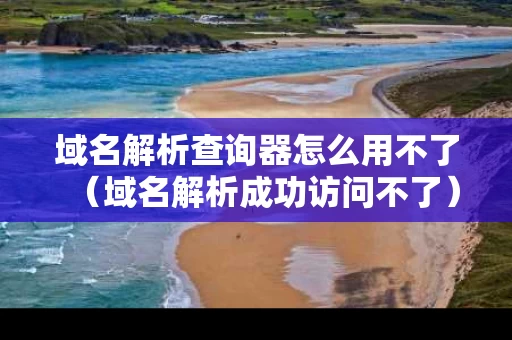 域名解析查询器怎么用不了（域名解析成功访问不了）