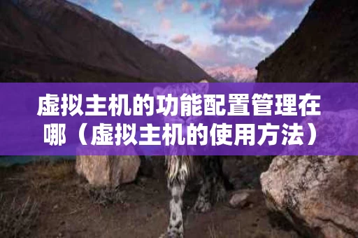 虚拟主机的功能配置管理在哪（虚拟主机的使用方法）