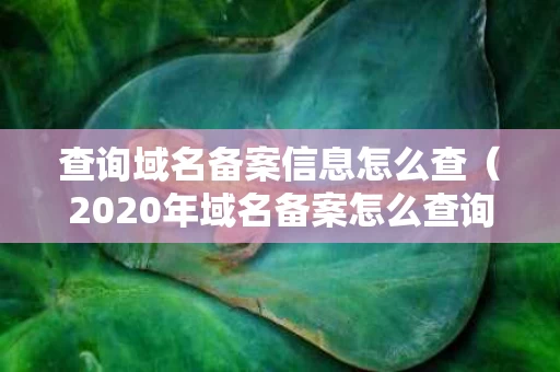 查询域名备案信息怎么查（2020年域名备案怎么查询进度）