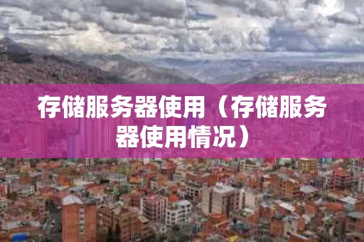 存储服务器使用（存储服务器使用情况）