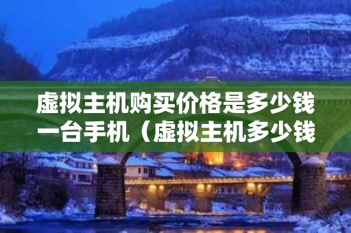 虚拟主机购买价格是多少钱一台手机（虚拟主机多少钱一个月）
