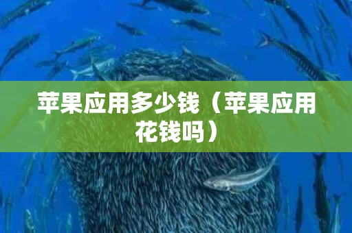 苹果应用多少钱（苹果应用花钱吗）
