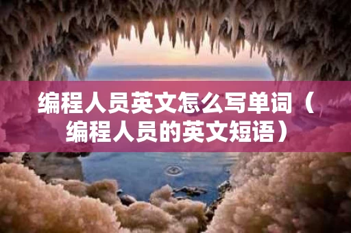 编程人员英文怎么写单词（编程人员的英文短语）