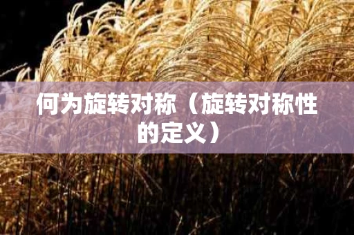何为旋转对称（旋转对称性的定义）