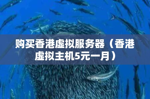 购买香港虚拟服务器（香港虚拟主机5元一月）