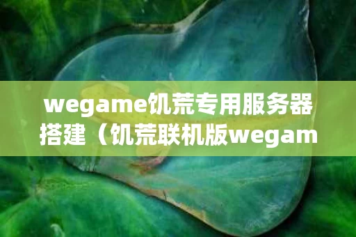 wegame饥荒专用服务器搭建（饥荒联机版wegame专用服务器）