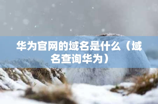华为官网的域名是什么（域名查询华为）