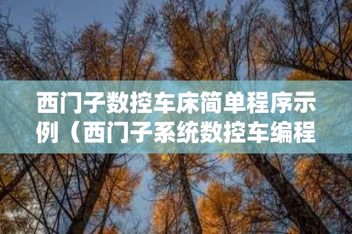 西门子数控车床简单程序示例（西门子系统数控车编程入门）
