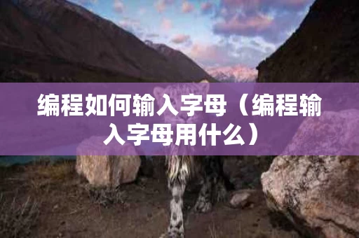编程如何输入字母（编程输入字母用什么）