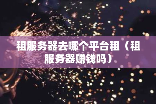 租服务器去哪个平台租（租服务器赚钱吗）
