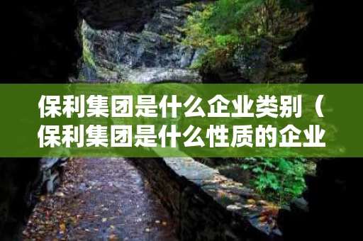 保利集团是什么企业类别（保利集团是什么性质的企业）