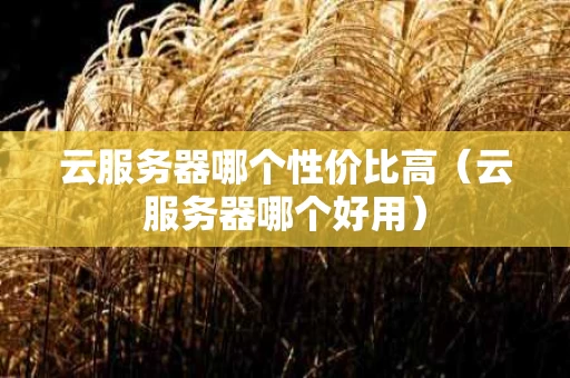 云服务器哪个性价比高（云服务器哪个好用）