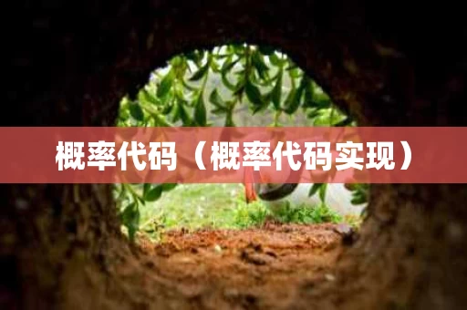概率代码（概率代码实现）