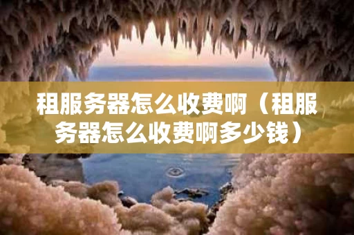 租服务器怎么收费啊（租服务器怎么收费啊多少钱）